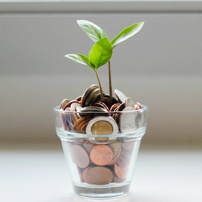 Why Financial Therapy?